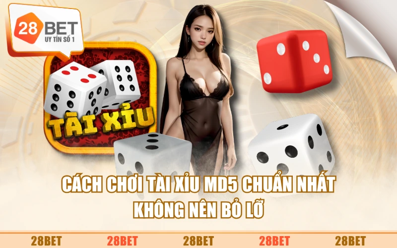 Cách Chơi Tài Xỉu MD5 Chuẩn Nhất - Không Nên Bỏ Lỡ