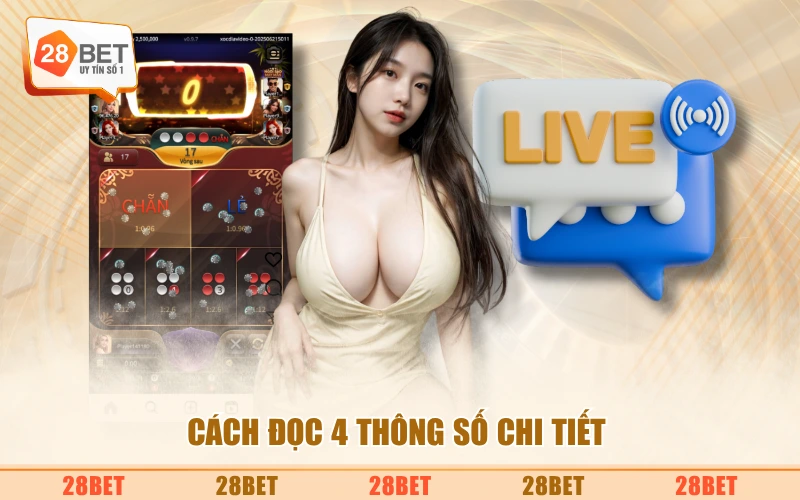 Cách đọc 4 thông số chi tiết