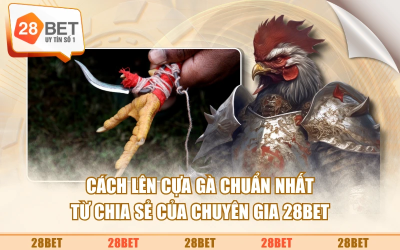 Cách Lên Cựa Gà Chuẩn Nhất Từ Chia Sẻ Của Chuyên Gia 28BET