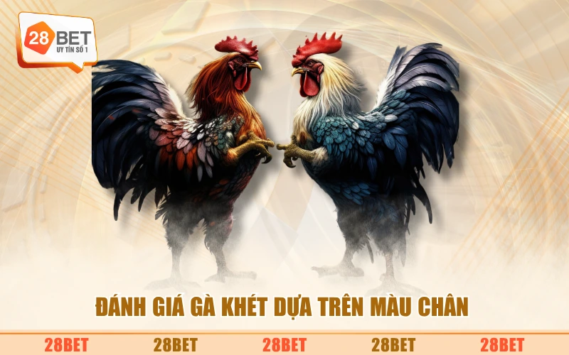 Đánh giá gà khét dựa trên màu chân