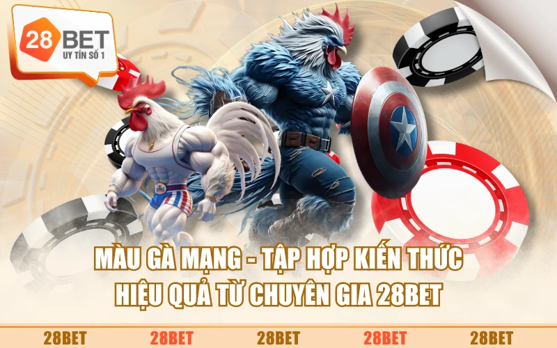 Màu Gà Mạng - Tập Hợp Kiến Thức Hiệu Quả Từ Chuyên Gia 28BET