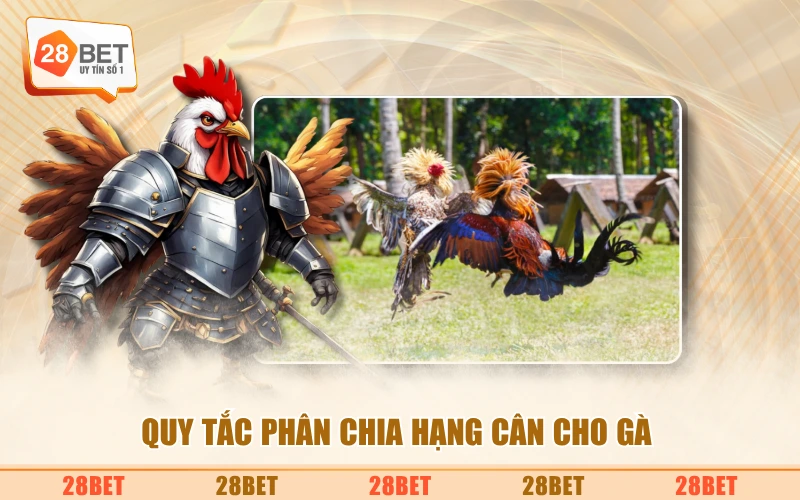 Quy tắc phân chia hạng cân cho gà