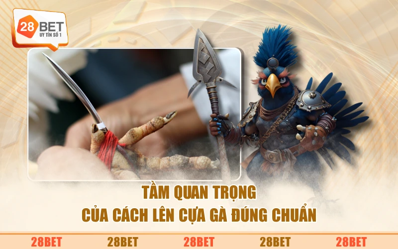 Tầm quan trọng của cách lên cựa gà đúng chuẩn