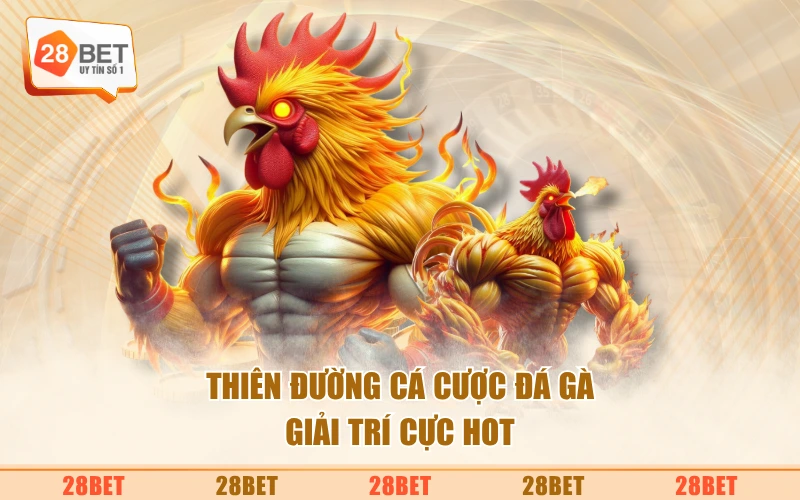 Thiên đường cá cược đá gà giải trí cực hot
