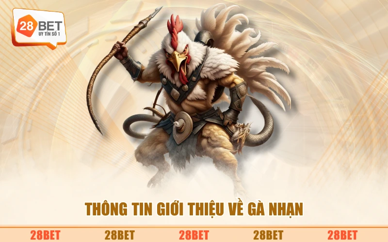 Thông tin giới thiệu về gà nhạn